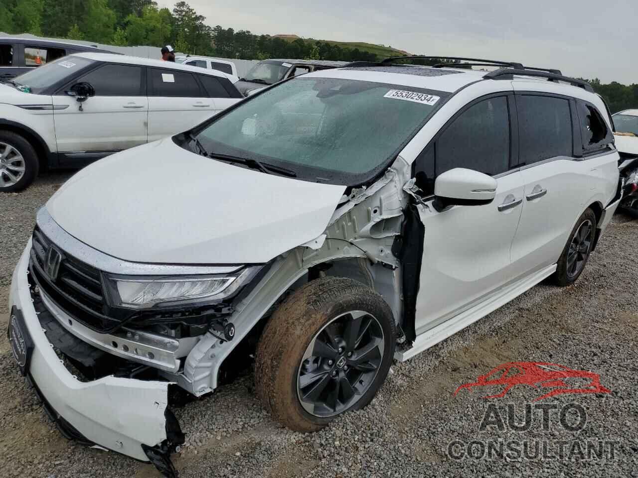 HONDA ODYSSEY 2024 - 5FNRL6H98RB052544