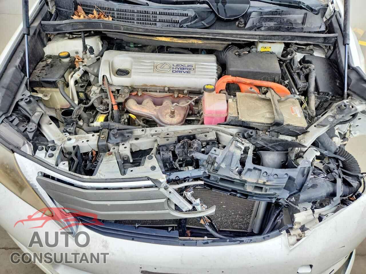 LEXUS HS 2010 - JTHBB1BA8A2013274