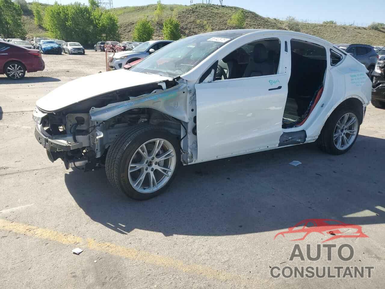 TESLA MODEL Y 2023 - 7SAYGDEE4PF610363