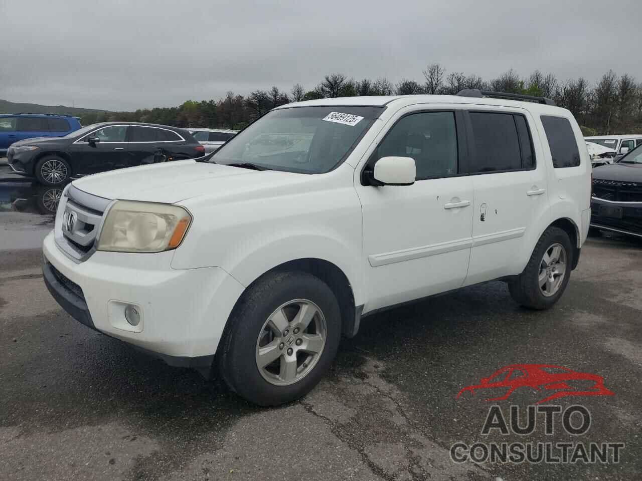 HONDA PILOT 2009 - 5FNYF48419B020532