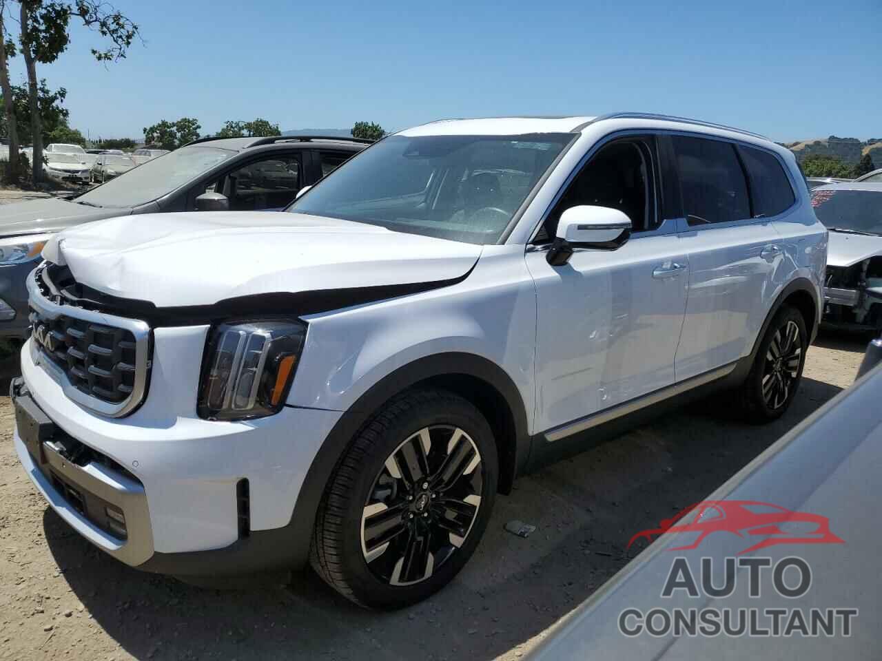 KIA TELLURIDE 2023 - 5XYP54GC9PG330702