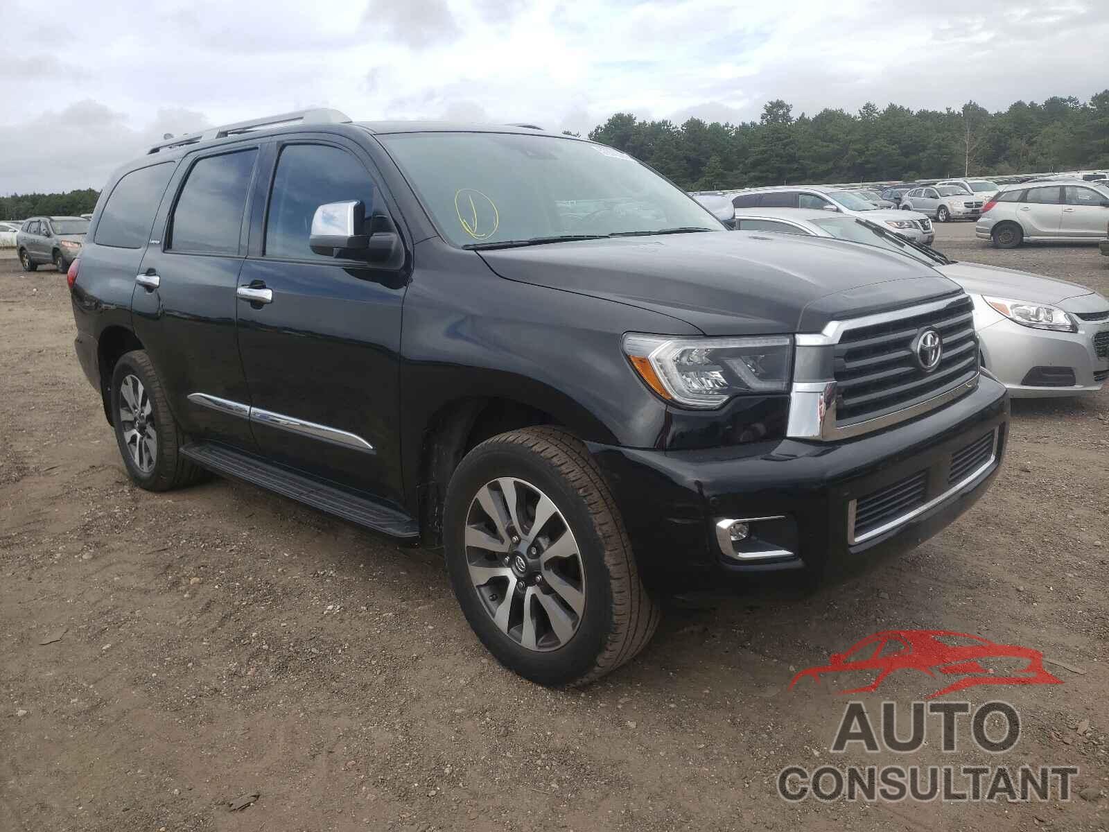 TOYOTA SEQUOIA 2019 - 5TDJY5G18KS166615