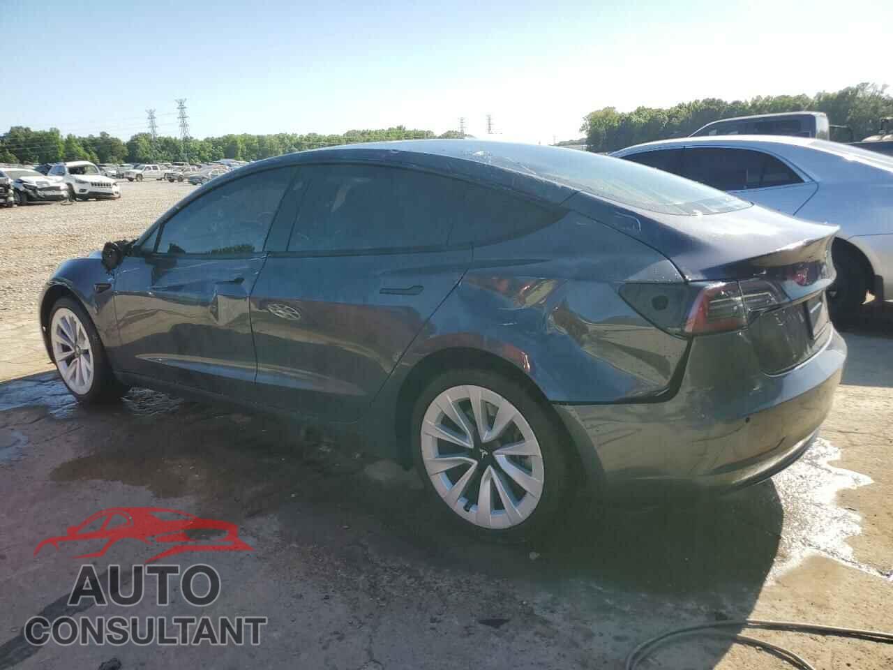 TESLA MODEL 3 2021 - 5YJ3E1EA1MF042349