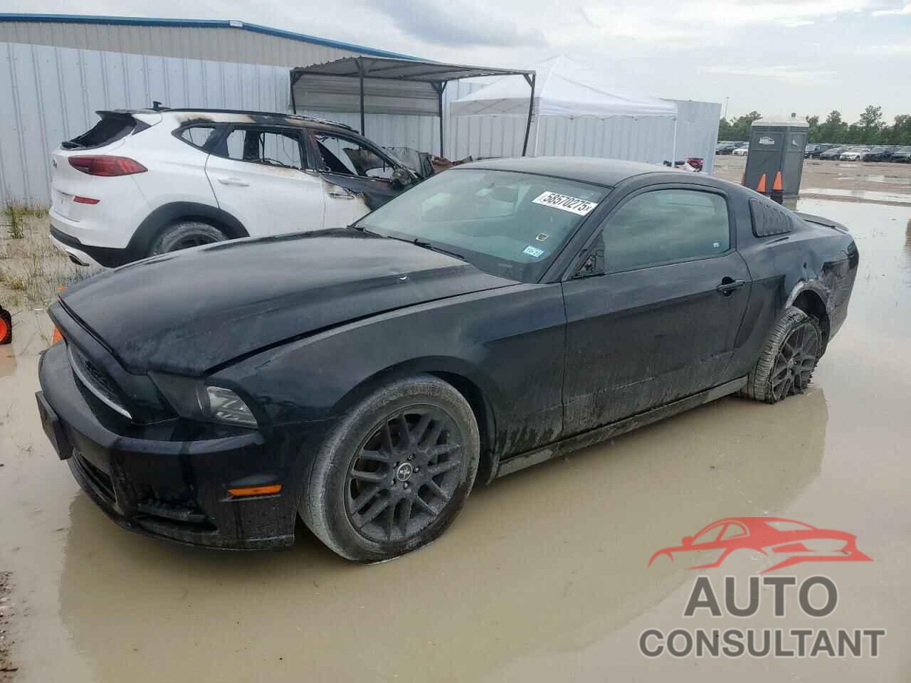 FORD ALL Models 2014 - 1ZVBP8AM5E5294426