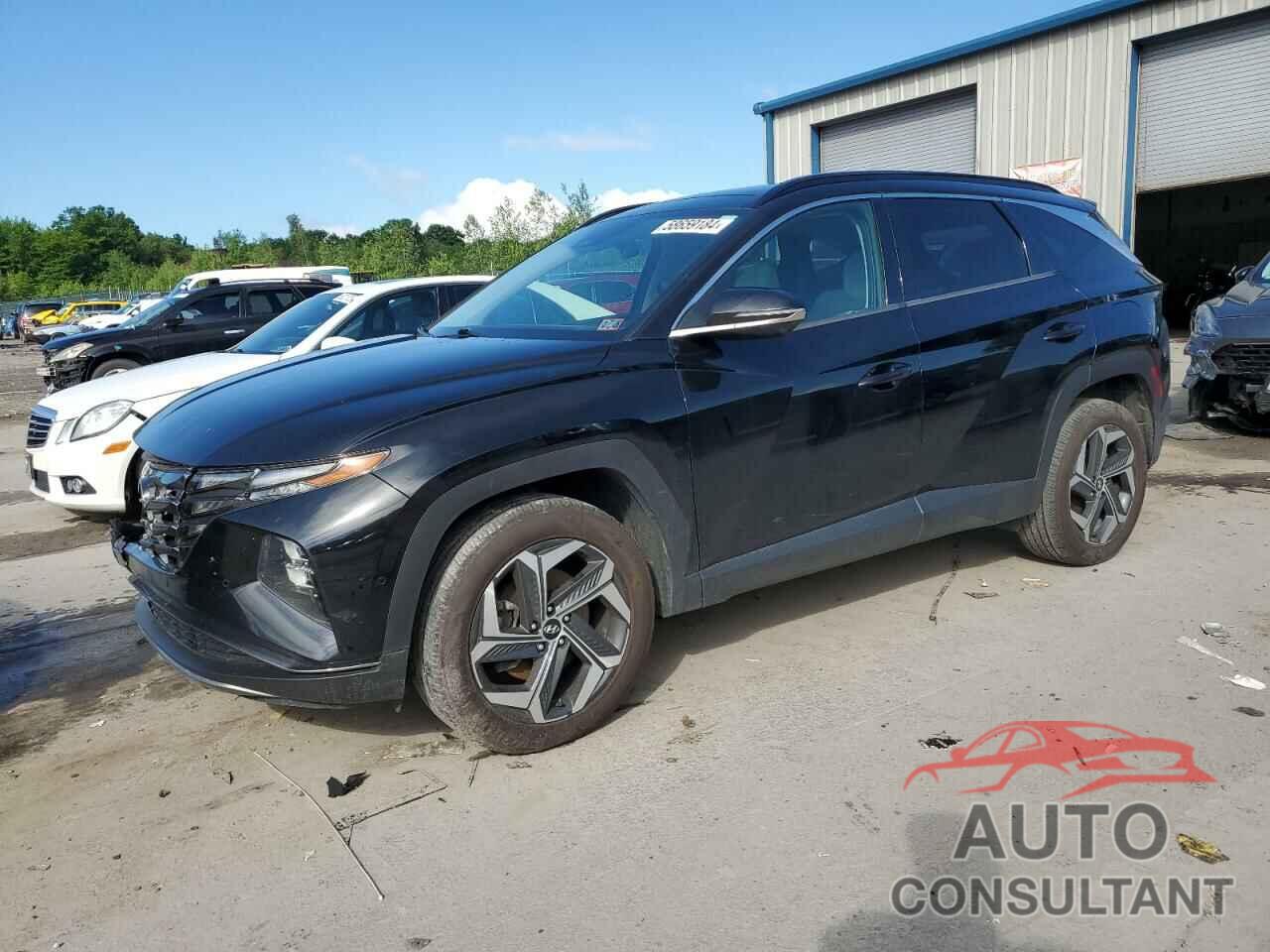 HYUNDAI TUCSON 2022 - 5NMJECAE2NH011431