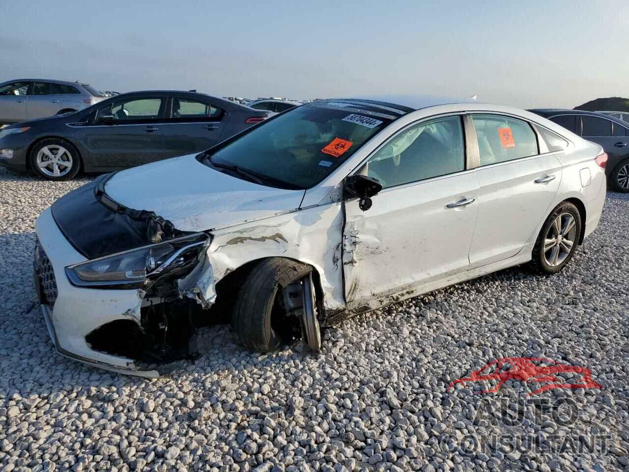 HYUNDAI SONATA 2019 - 5NPE34AF5KH791932