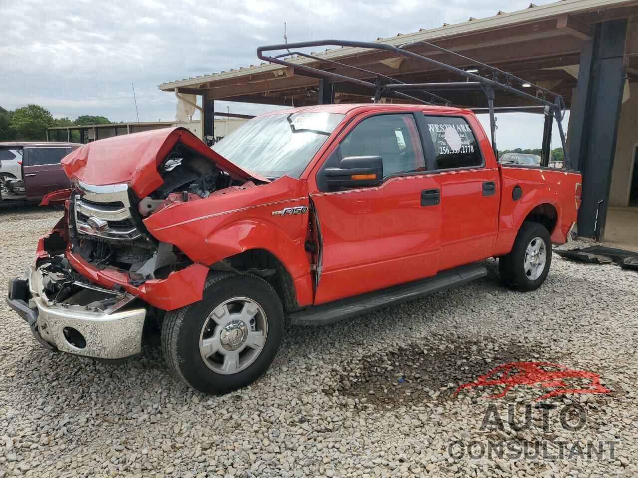 FORD F-150 2011 - 1FTEW1CM1BKD13882