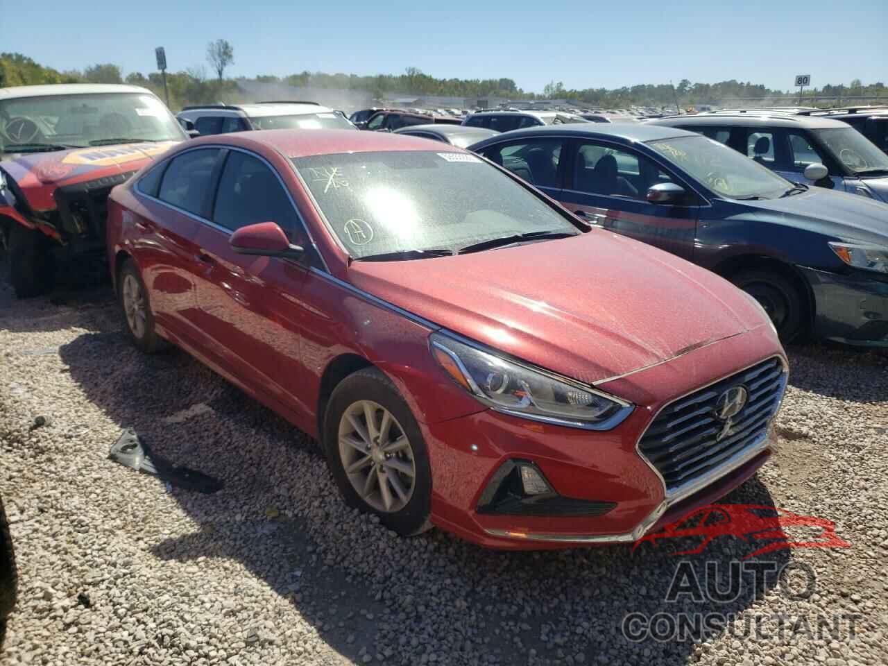 HYUNDAI SONATA 2019 - 5NPE24AF1KH805957