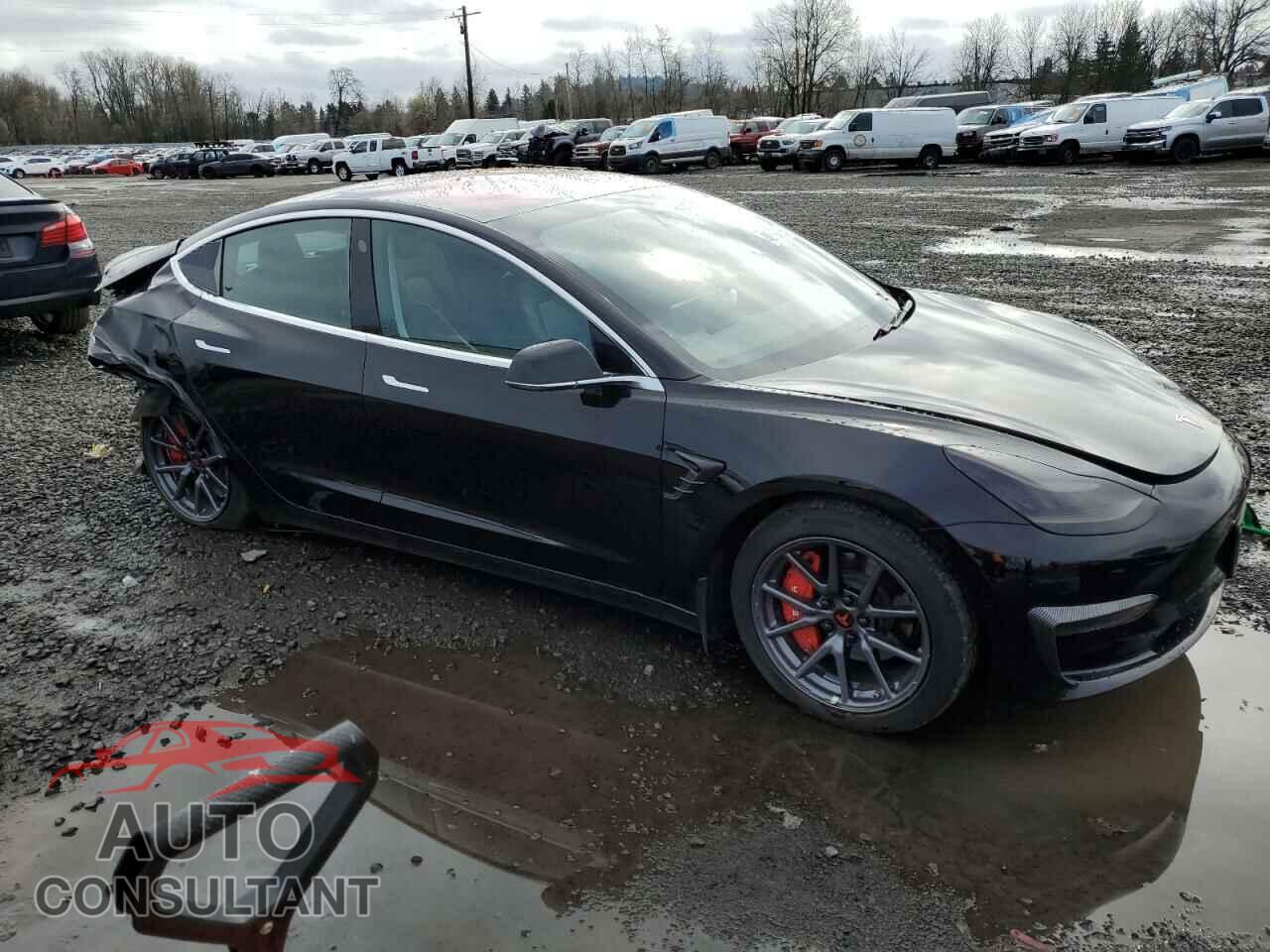 TESLA MODEL 3 2019 - 5YJ3E1EA1KF193169
