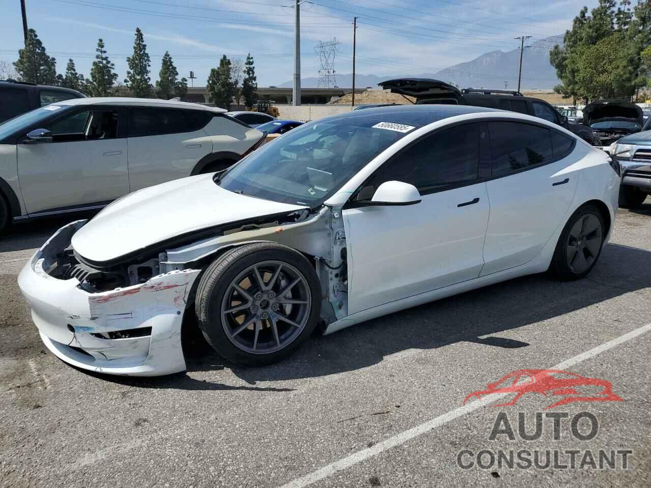 TESLA MODEL 3 2021 - 5YJ3E1EB9MF069291