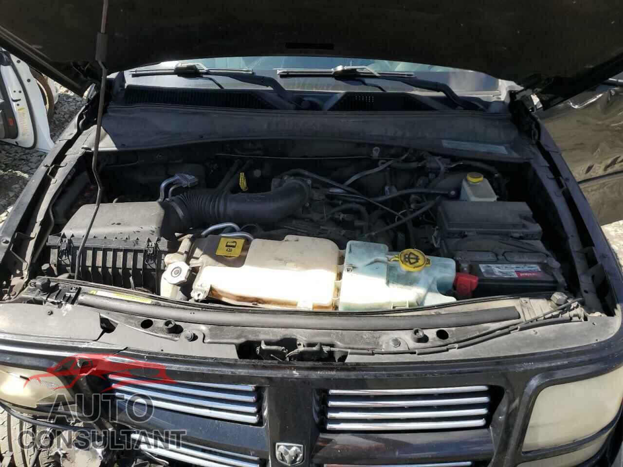 DODGE NITRO 2011 - 1D4PU4GK7BW605931