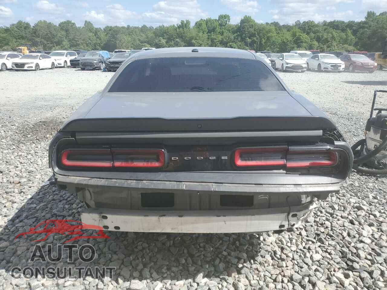 DODGE CHALLENGER 2019 - 2C3CDZAG3KH551334