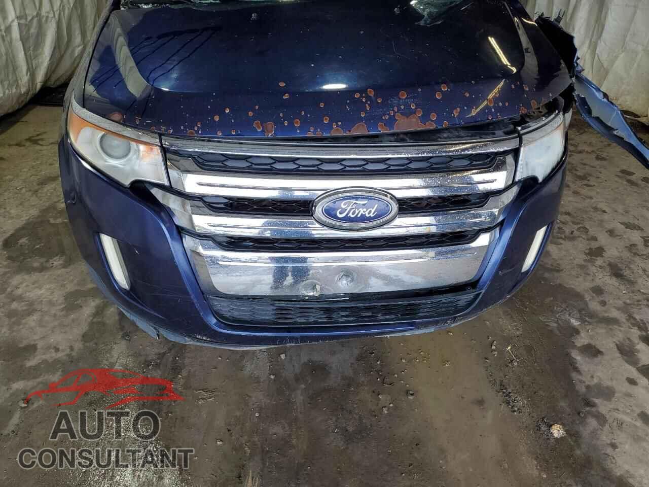 FORD EDGE 2011 - 2FMDK4KC0BBA11765