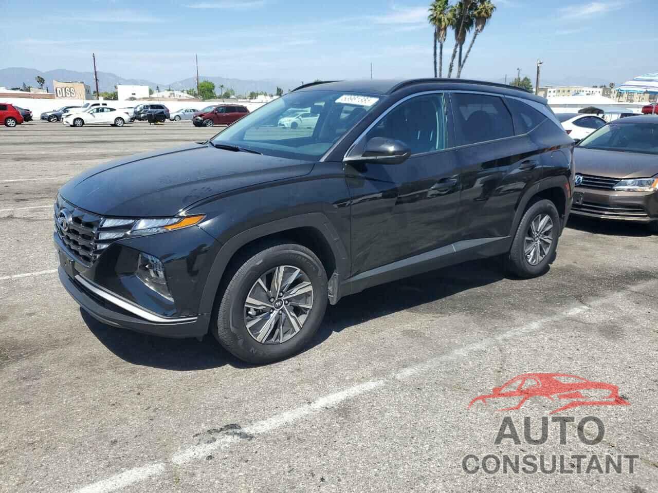 HYUNDAI TUCSON 2024 - KM8JBCD14RU220536