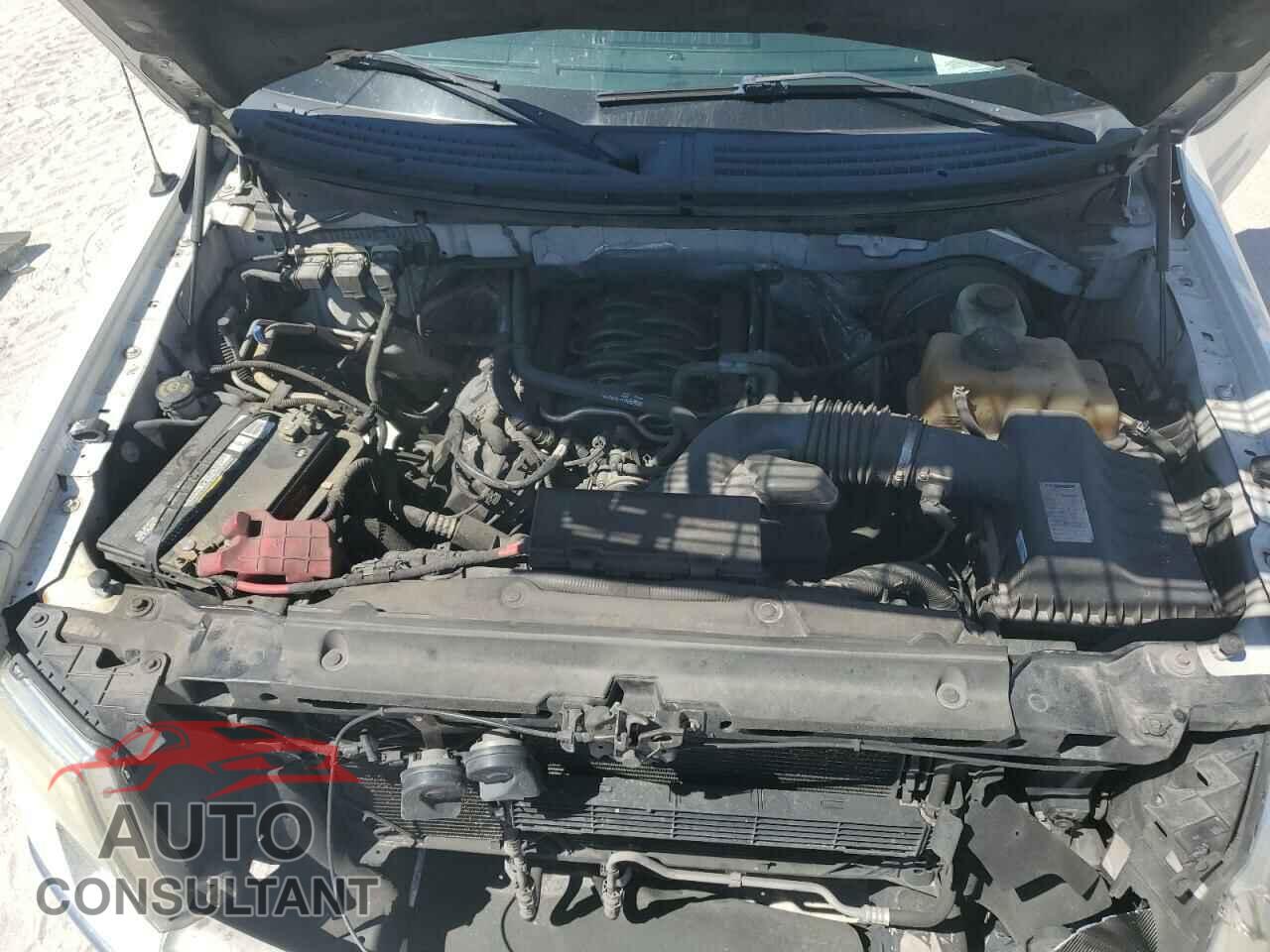 FORD F-150 2013 - 1FTFX1CF3DFD76769