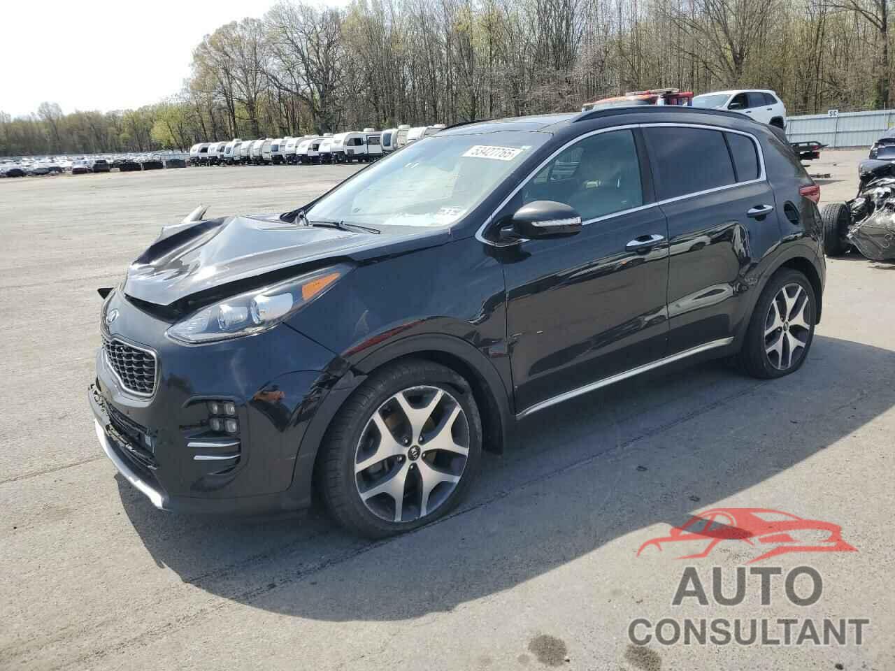 KIA SPORTAGE 2019 - KNDPR3A65K7551950
