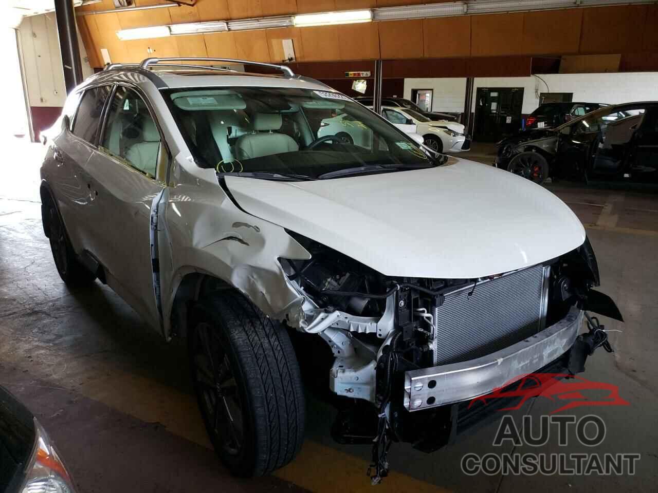 NISSAN MURANO 2021 - 5N1AZ2DS7MC137311