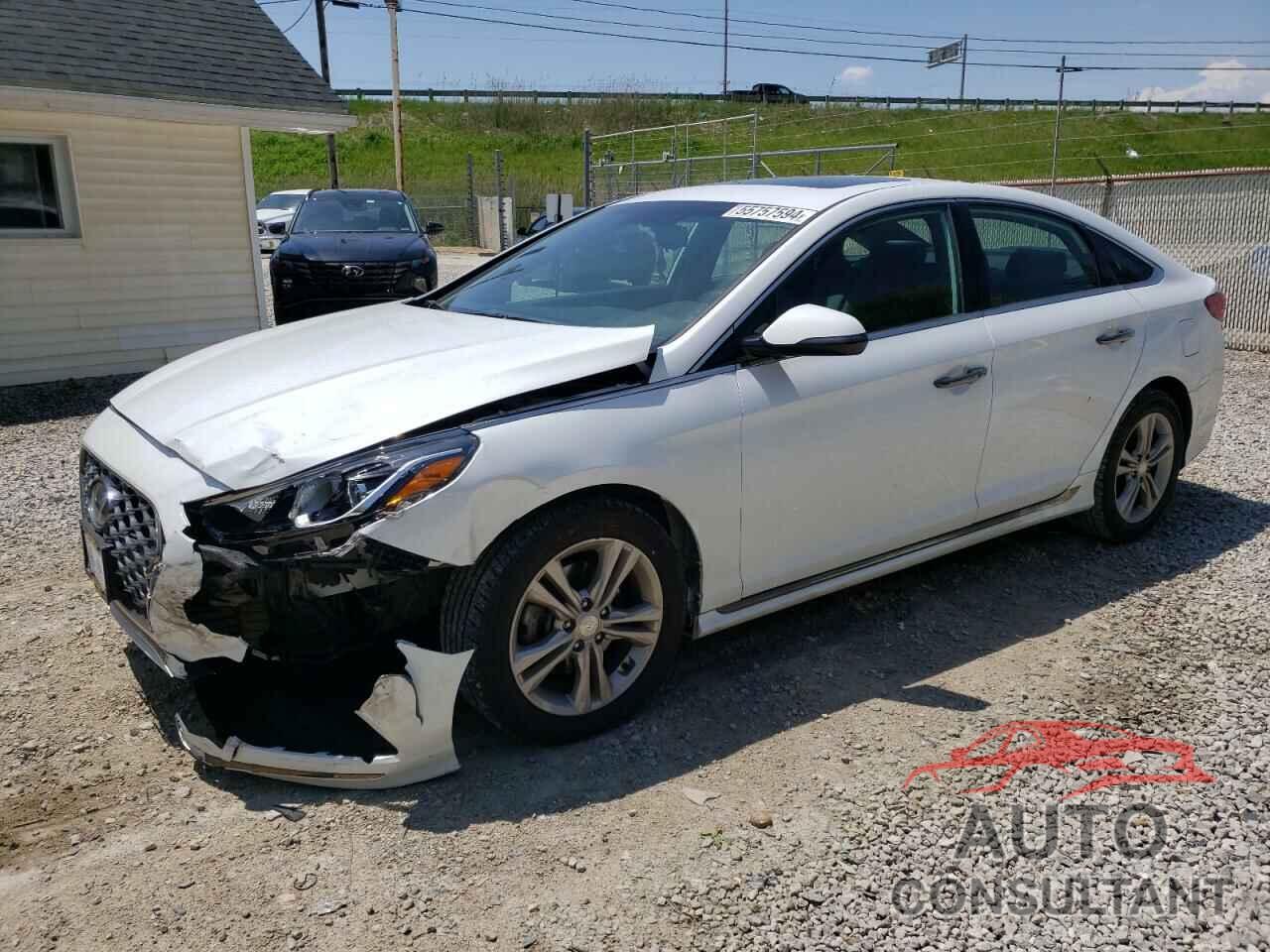 HYUNDAI SONATA 2019 - 5NPE34AF3KH820554