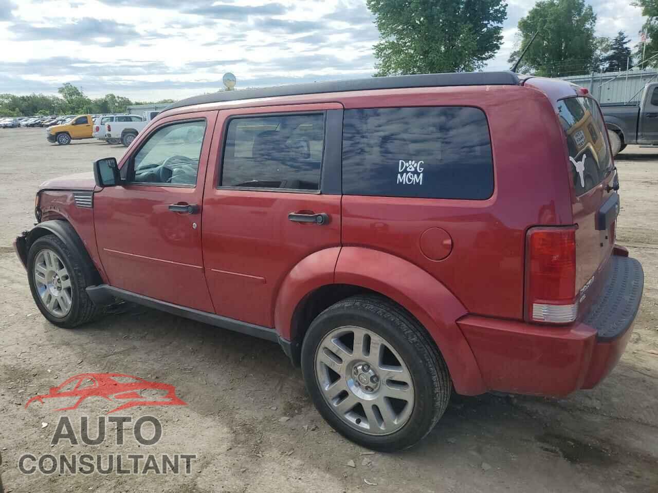 DODGE NITRO 2011 - 1D4PT4GX4BW504795