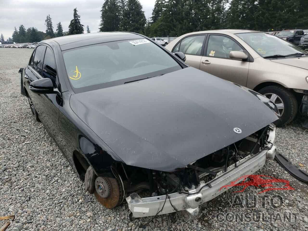 MERCEDES-BENZ E-CLASS 2019 - WDDZF4KB1KA489166