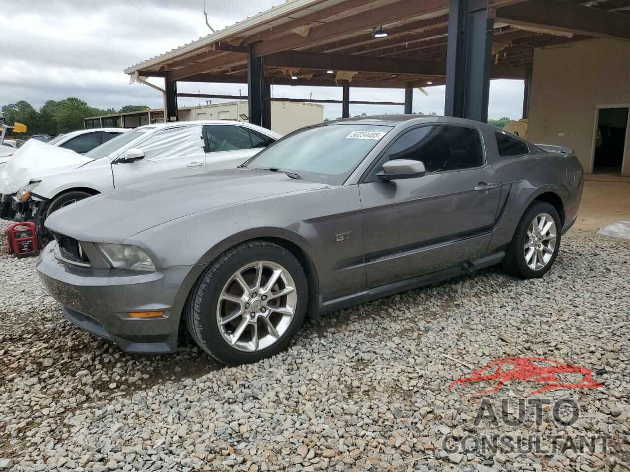 FORD MUSTANG 2010 - 1ZVBP8CH8A5161041