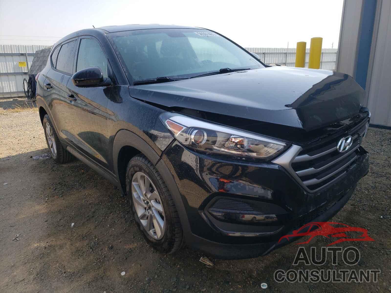 HYUNDAI TUCSON 2017 - KM8J23A45HU555432