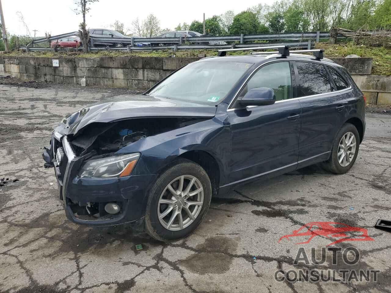 AUDI Q5 2010 - WA1LKAFP6AA092528