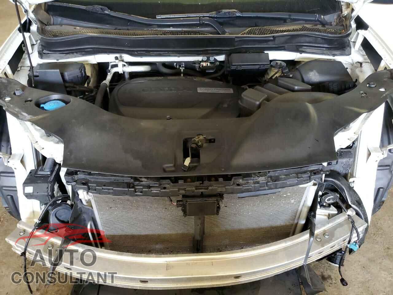 HONDA PILOT 2019 - 5FNYF6H40KB031877