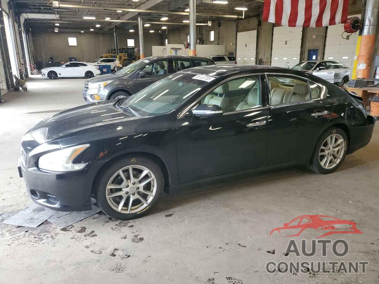 NISSAN MAXIMA 2009 - 1N4AA51E49C851924