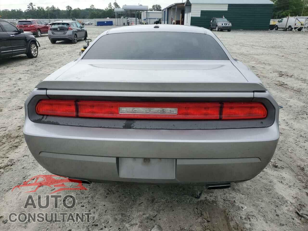 DODGE CHALLENGER 2013 - 2C3CDYAG7DH616196