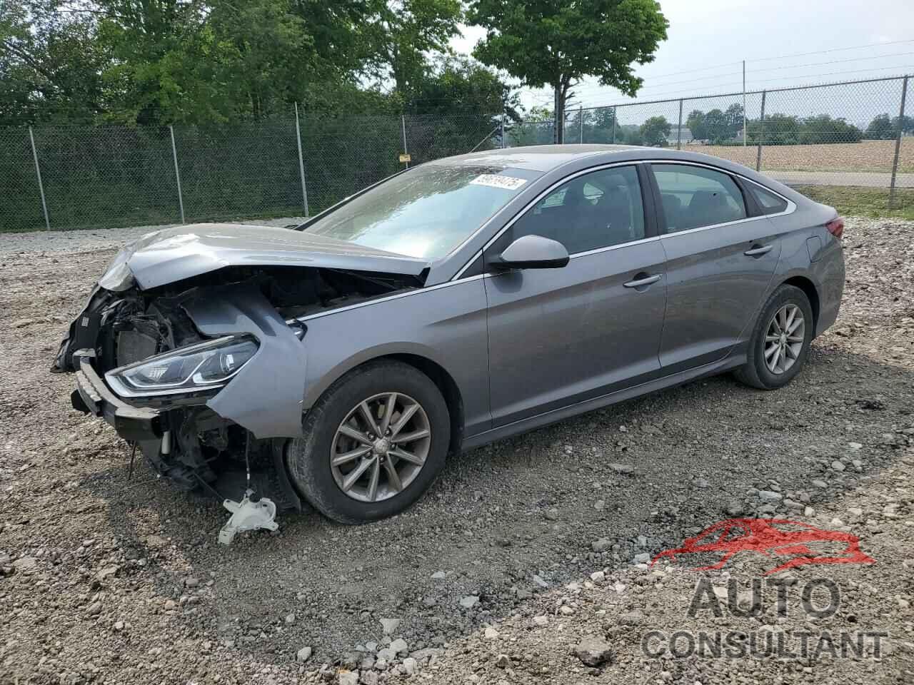 HYUNDAI SONATA 2019 - 5NPE24AF7KH757235