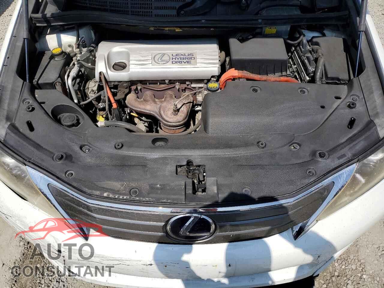 LEXUS HS 2010 - JTHBB1BA3A2010945