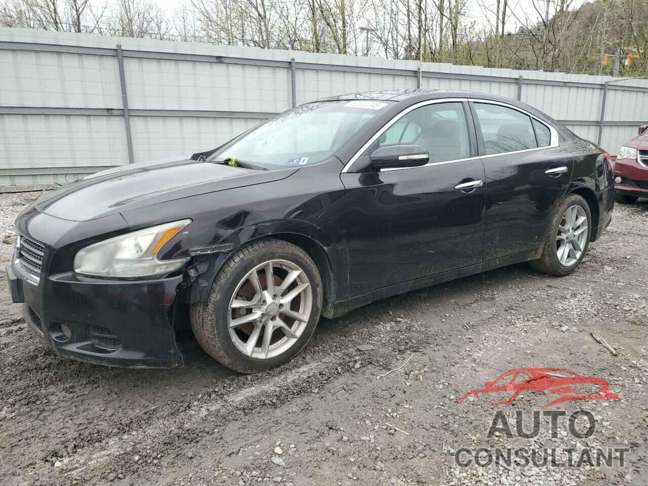 NISSAN MAXIMA 2010 - 1N4AA5AP4AC819626