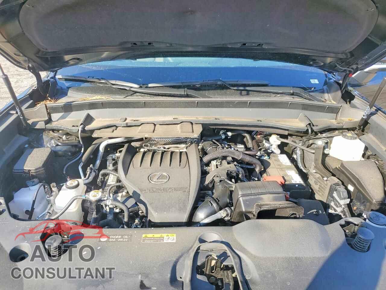 LEXUS UNKNOWN 2025 - 5TDAAAB6XSS023780