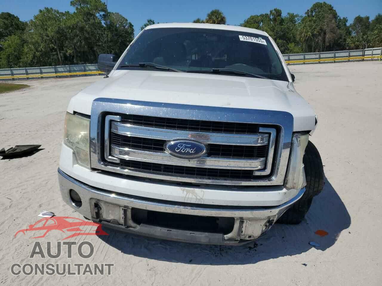 FORD F-150 2013 - 1FTFX1CF3DFD76769