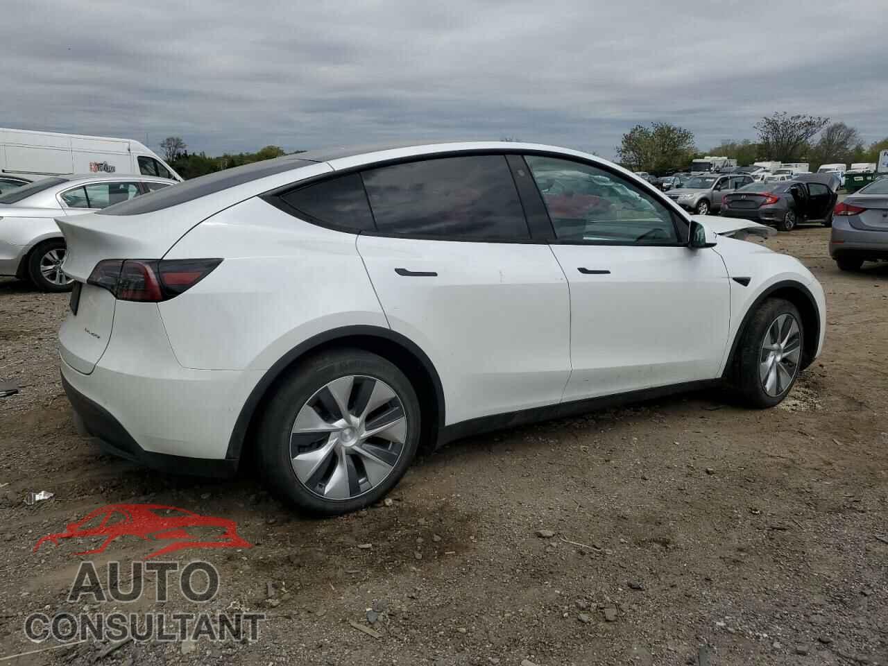 TESLA MODEL Y 2021 - 5YJYGDEE6MF198150