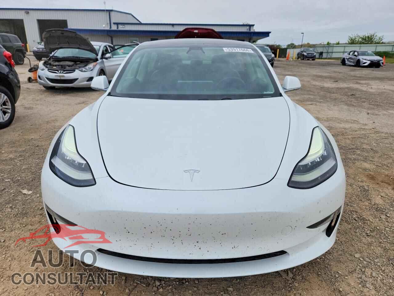 TESLA MODEL 3 2019 - 5YJ3E1EB3KF511544