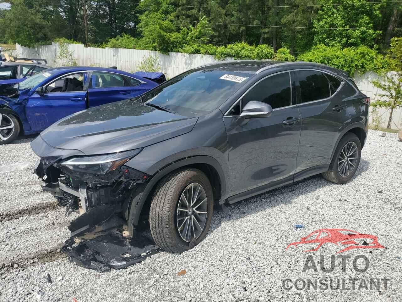 LEXUS NX 250 PRE 2025 - 2T2GDCAZ6SC018833