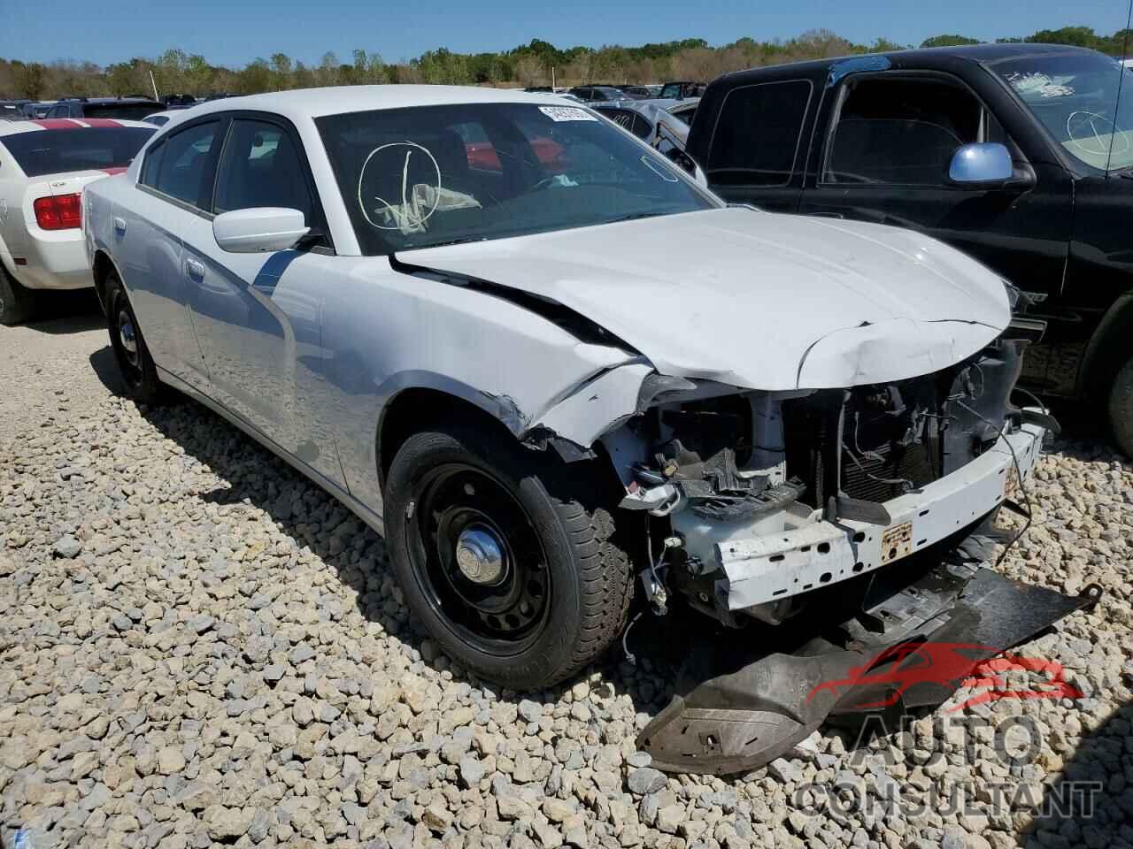DODGE CHARGER 2019 - 2C3CDXKT6KH617746