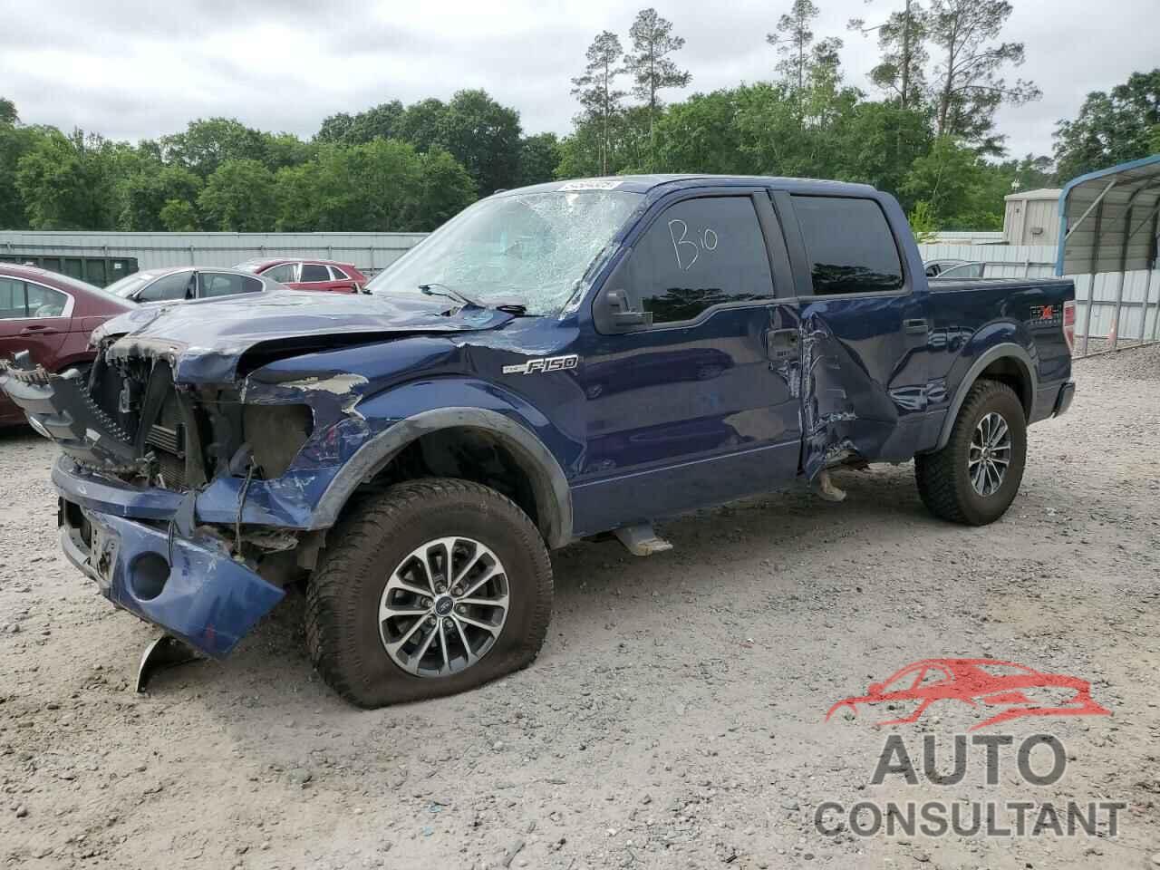 FORD F-150 2009 - 1FTPW14V99FB30359