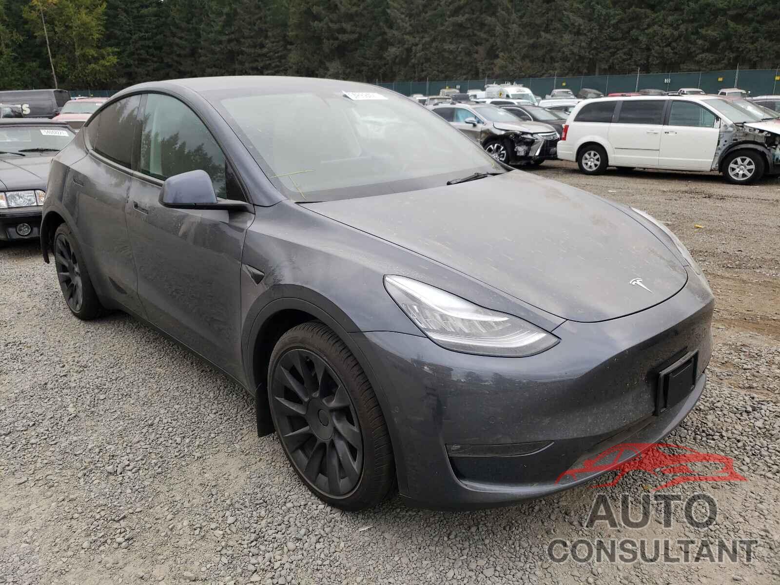 TESLA MODEL Y 2021 - 5YJYGDEE1MF153374
