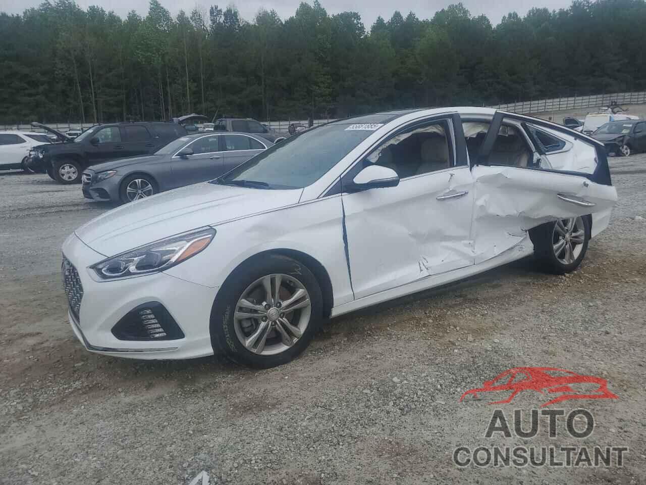 HYUNDAI SONATA 2019 - 5NPE34AF4KH791601