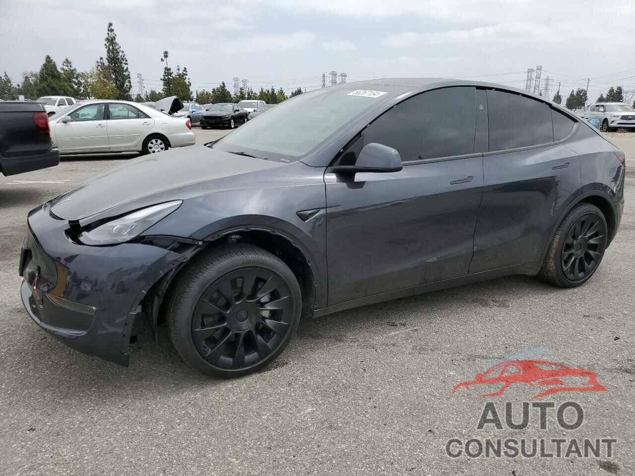 TESLA MODEL Y 2024 - 7SAYGDEE1RA227884