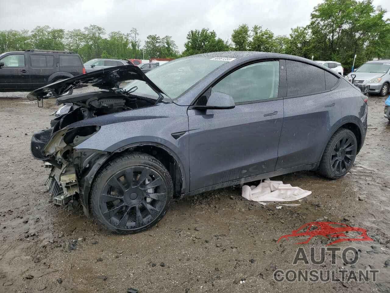 TESLA MODEL Y 2022 - 7SAYGDEE8NF481783