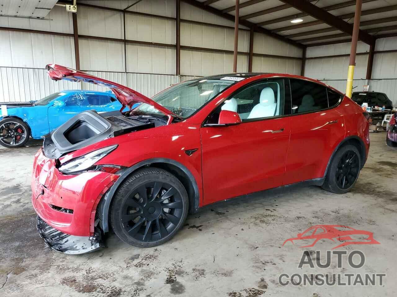 TESLA MODEL Y 2022 - 7SAYGDEEXNF319993
