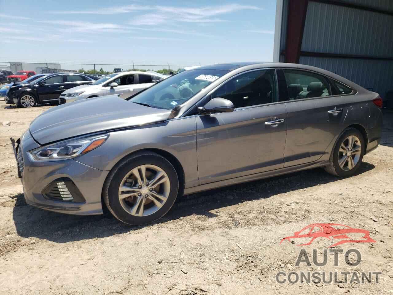 HYUNDAI SONATA 2019 - 5NPE34AF2KH760959