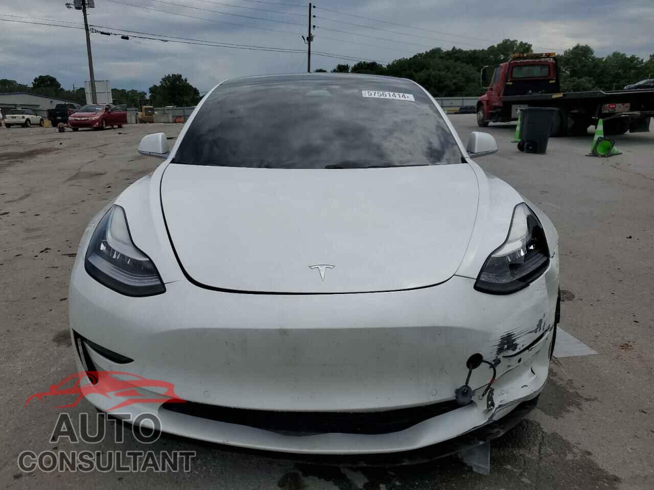 TESLA MODEL 3 2019 - 5YJ3E1EA6KF396932