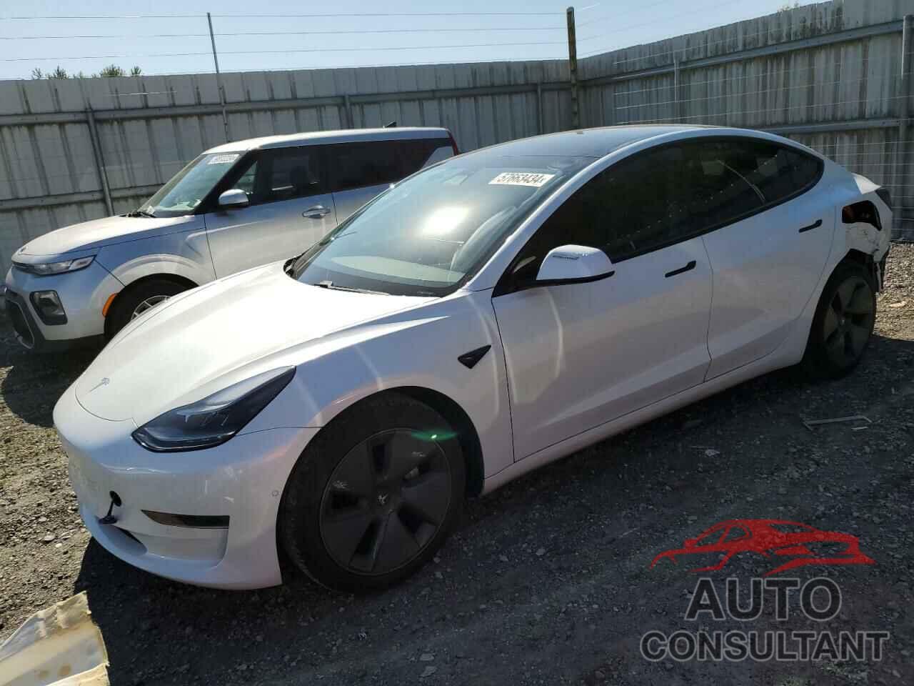 TESLA MODEL 3 2021 - 5YJ3E1EA3MF070749