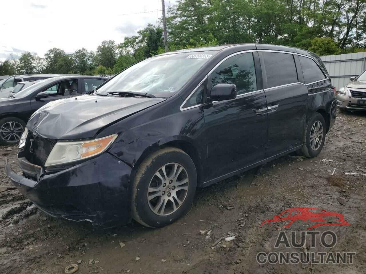 HONDA All Models 2013 - 5FNRL5H61DB069520