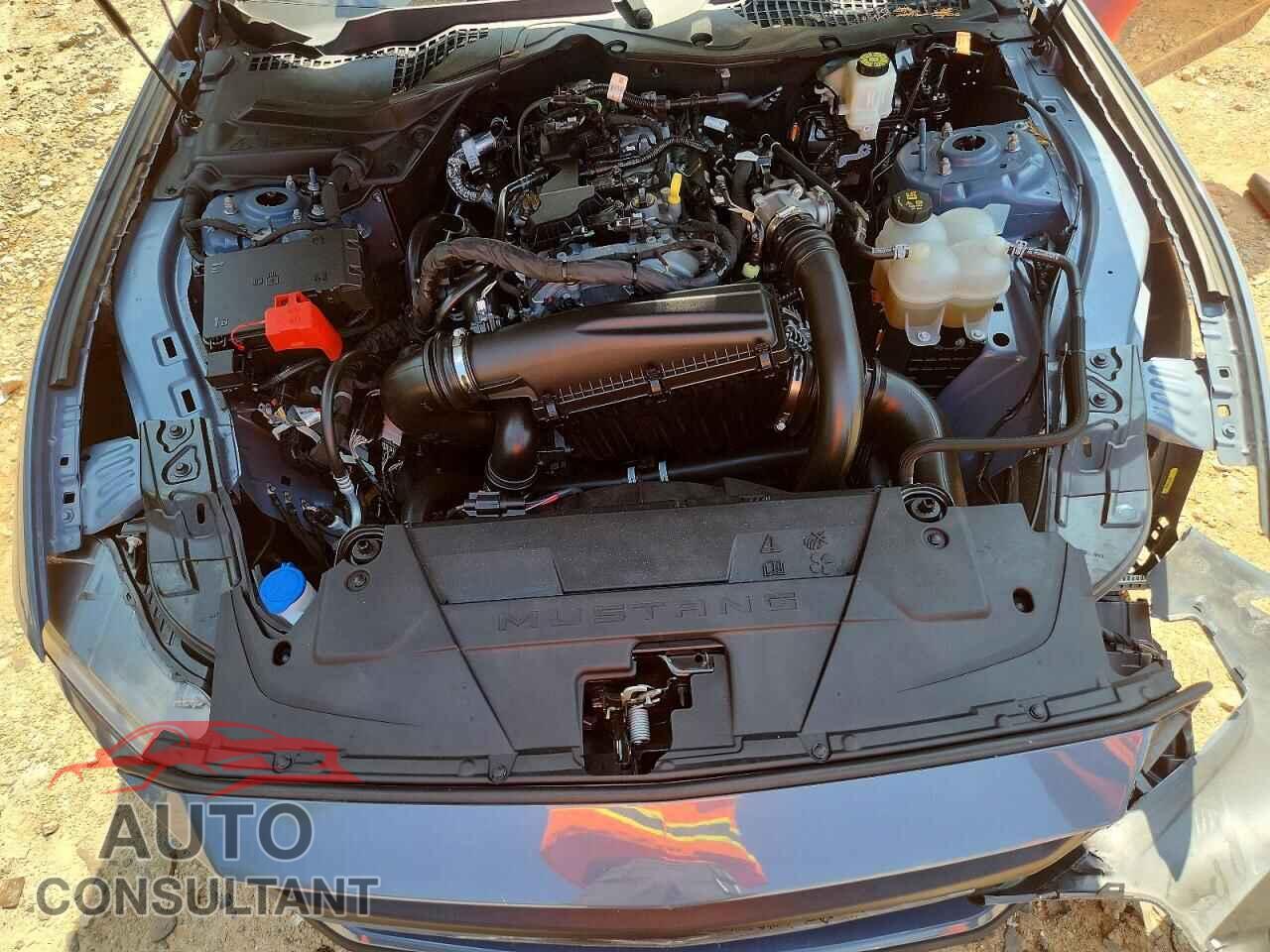 FORD MUSTANG 2024 - 1FA6P8TH5R5111686